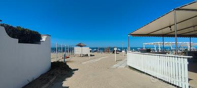 Appartamento Bilocale Lido dei Coralli