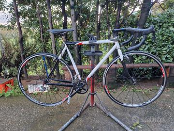 Telaio acciaio gravel