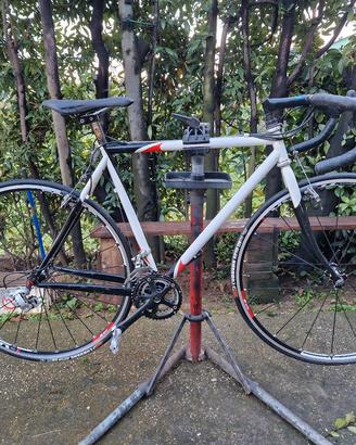 Telaio acciaio gravel
