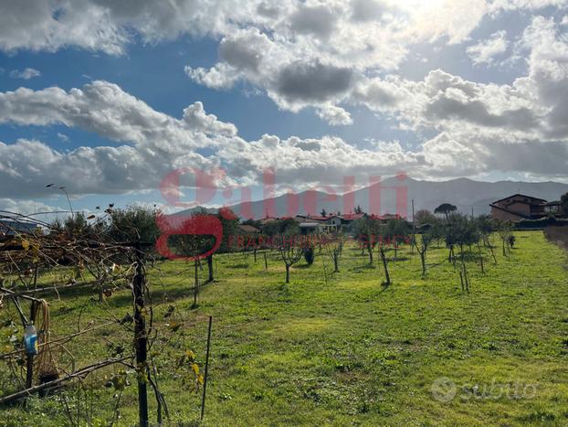 Terreno Agricolo Venafro [VF CSMC2347 - 04VCG]