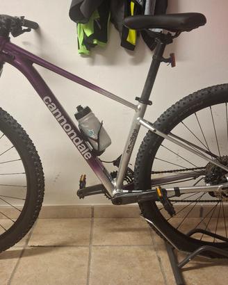 mtb muscolare taglia s .cannonbale
