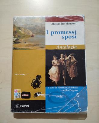 I Promessi sposi 
