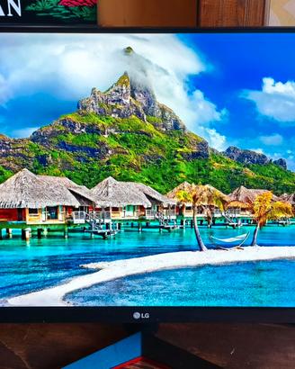 Monitor LG 24 pollici IPS 75 Hz