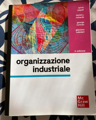 Organizzazione industriale