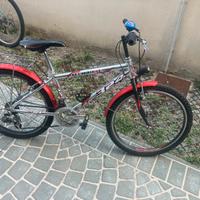 Bicicletta teknobike 324 da ragazzo