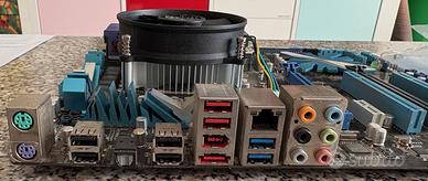 Scheda Madre Asus P7P55D-E