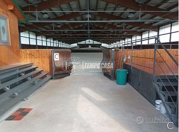 Allevamento Cavalli Sportivi 50000mq