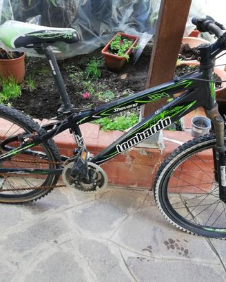 bicicletta 