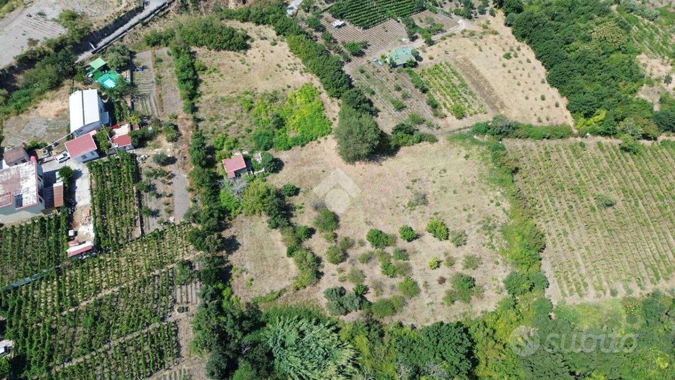 TERRENO A POLLENA TROCCHIA - Vista 2