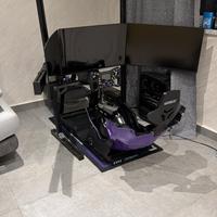 Simulatore Guida professionale