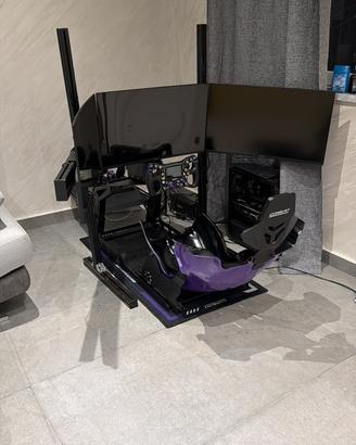 Simulatore Guida professionale