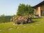 Immagine 25