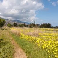 Panoramico terreno a Castellammare del Golfo