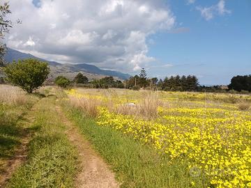 Panoramico terreno a Castellammare del Golfo