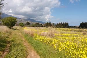 Panoramico terreno a Castellammare del Golfo