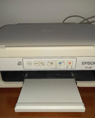 stampante epson xp-247