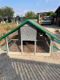 Pollaio per galline 🐓 ovaiole
