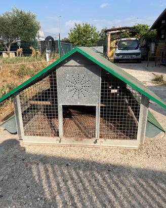 Pollaio per galline 🐓 ovaiole