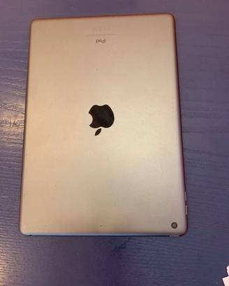 iPad 9 (10.2") Perfetto Stato 64G + Apple Pencil 1