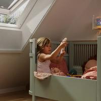 Zanzariere Velux ZIL CK06