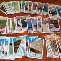 carte avventure nella natura coop