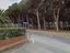Immagine 9