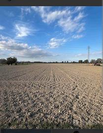 Terreno agricolo