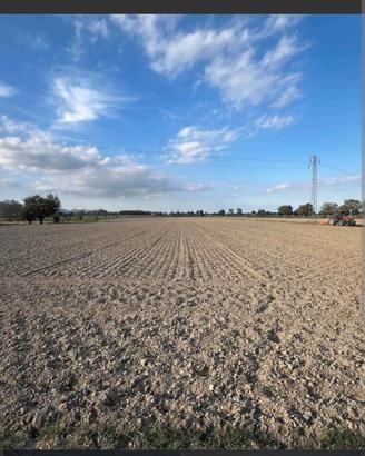 Terreno agricolo