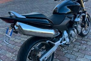 Honda hornet