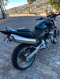 Honda hornet