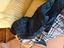 Immagine 4