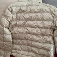 Blauer donna primaverile