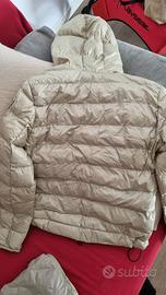 Blauer donna primaverile