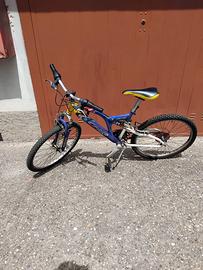 Bicicletta da ragazzo
