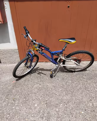 Bicicletta da ragazzo