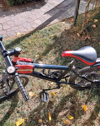 Mountain bikes bambino misura 20