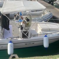 Rascala 480 anno 2017