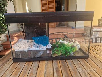 Acquario 60 litri 