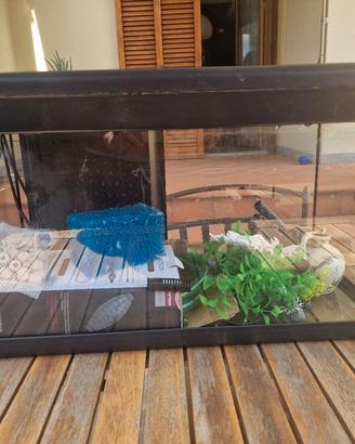 Acquario 60 litri 