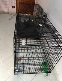 kennel cane grande 