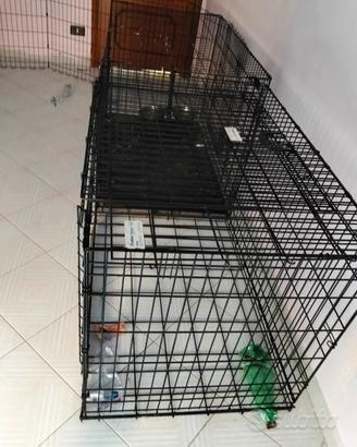 kennel cane grande 