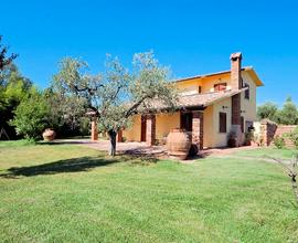 Villa ristrutturata con parco - Pitigliano