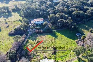 Terreno Agricolo Priatu