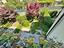 Immagine 29