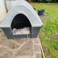 CUCCIA IN PLASTICA APRIBILE TAGLIA MEDIA