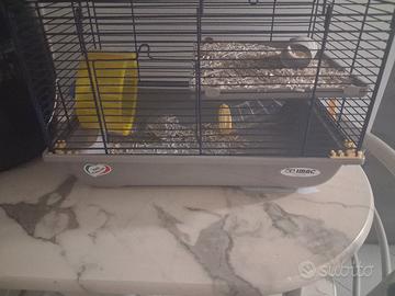 Gabbia criceto Imac