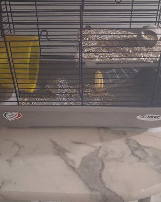 Gabbia criceto Imac
