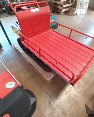 motocariola cingolata