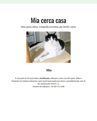 Dono Gatta sterilizzata calma e sana