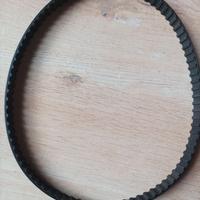 Cinghia distribuzione motore rotax